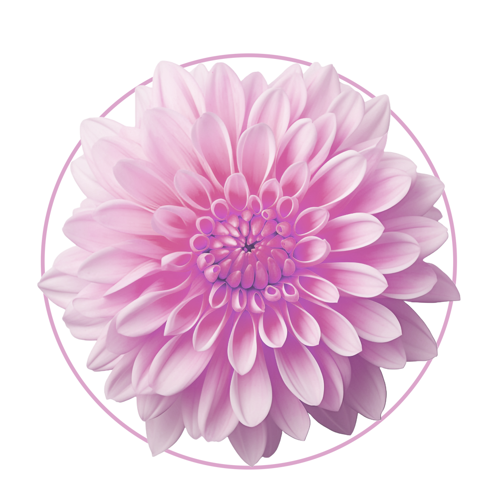 https://yourtruthcounselingandcoaching.com/wp-content/uploads/2025/04/136170583_4e377bbf-18af-42a4-ac56-46e9426927f9.png